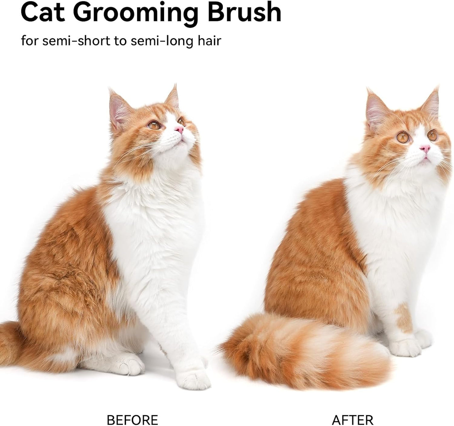 Cat Grooming Brush for Shedding – Deshedding Comb for Long & Short Hair Cats, Kittens & Rabbits - Best Pet Care Store