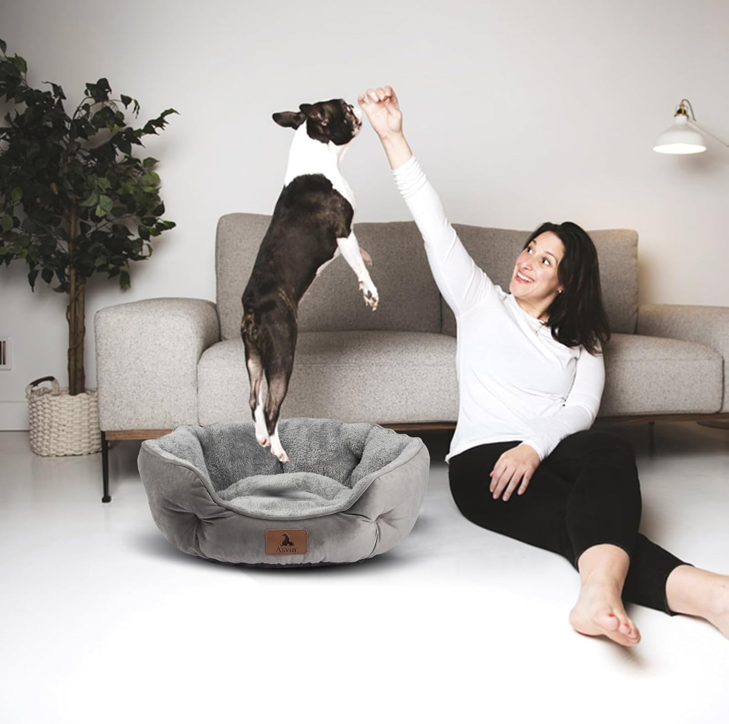 Small Dog & Cat Bed – Extra Soft, Machine Washable, Water-Resistant Bottom, 20", Grey - Best Pet Care Store