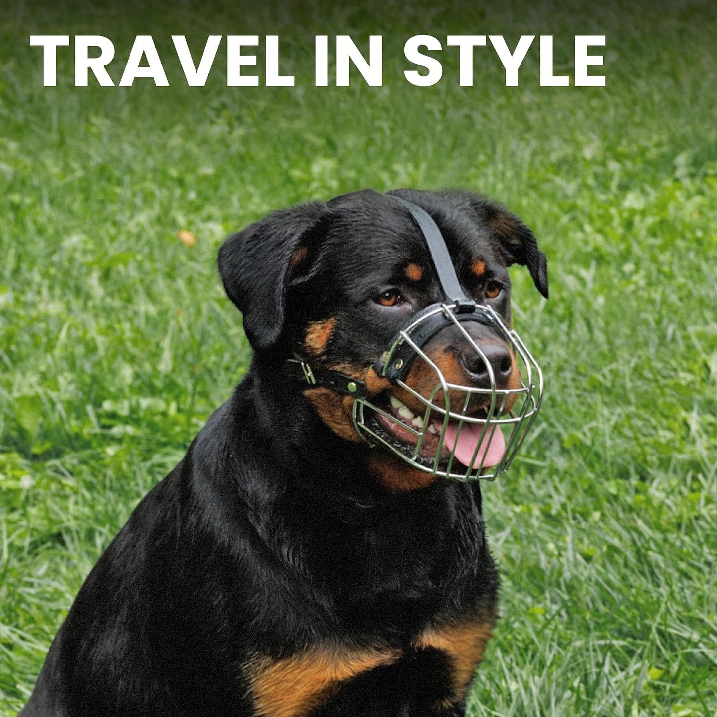 Dog Muzzle Adjustable Durable Metal Wire Basket for Large and Extra Large Dogs with Leather Straps Breathable, Drinkable, Training, Prevents Biting (Stainless Steel, Rottweiler) - Best Pet Care Store