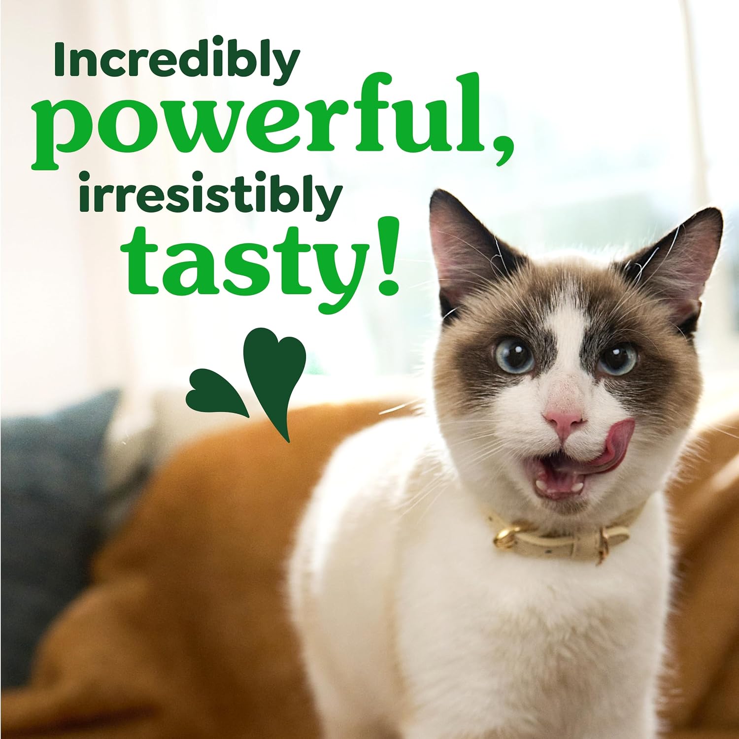 Cat Treats - Best Pet Care Store