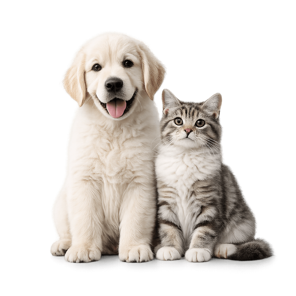 Best Sellers Under $40 Bundles - Best Pet Care Store