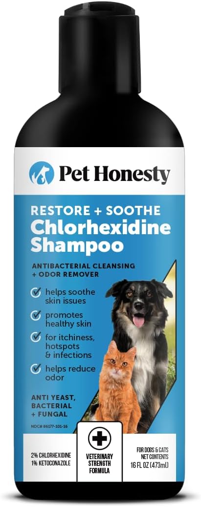 Chlorhexidine Cat & Dog Seasonal Itch Relief Shampoo, for Allergies, Itching, Skin and Coat Supplement, Helps Shedding, Hot Spots, Deodorizing Dog Shampoo & Grooming Supplies,16Oz - Best Pet Care Store