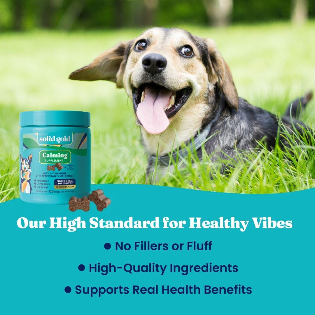 Solid Gold Calming Chews for Dogs - Dog Calming Chews W/Melatonin for Separation, Stress & Hyperactivity Relief - Supports Relaxation for Travel, Fireworks & Storms - All Ages & Sizes - Bacon 120Ct - Best Pet Care Store