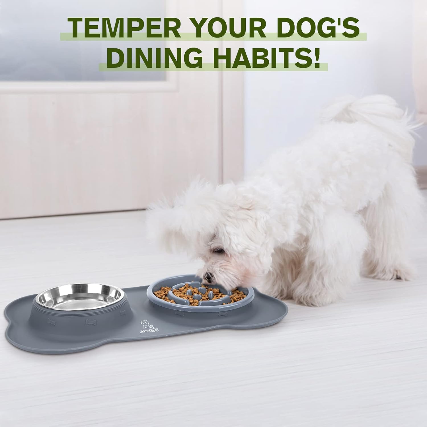 Slow Feeder Dog Bowls to Slow down Eating, Dog Bowl Slow Feeder with No-Spill Non-Skid Silicone Mat, Food-Grade Safe Dog Food Bowls Slow Feeder, Stainless Steel Dog Water Bowl for Dogs Cats - Best Pet Care Store