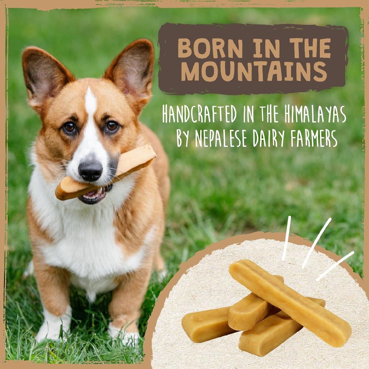Yak Cheese Dog Chews – All-Natural Long Lasting Hard Chew for Aggressive Chewers – High Protein, Odor-Free Dog Treat – 3 Ingredient Natural Yak Chews for Large Dogs – (4 Pack) - Best Pet Care Store