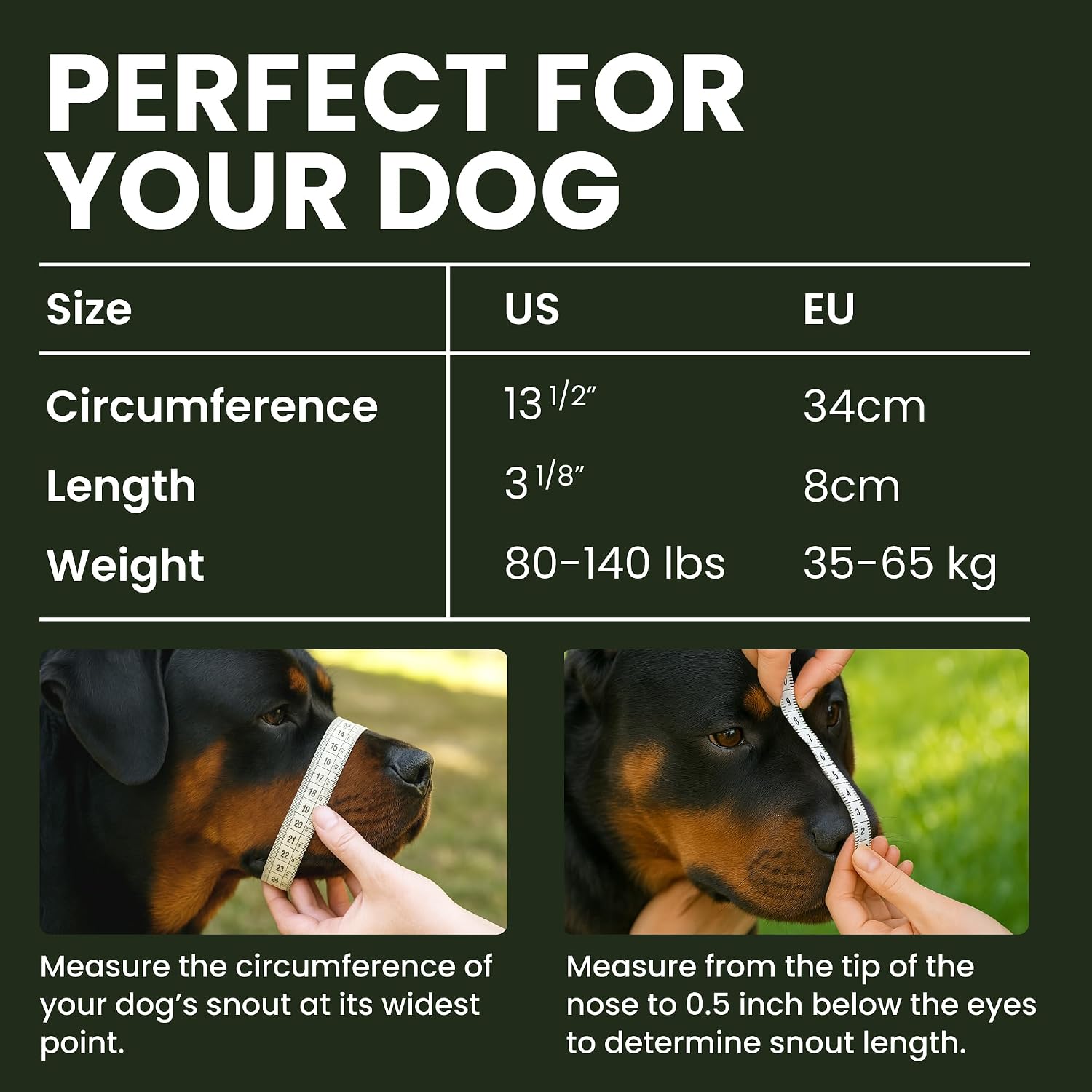 Dog Muzzle Adjustable Durable Metal Wire Basket for Large and Extra Large Dogs with Leather Straps Breathable, Drinkable, Training, Prevents Biting (Stainless Steel, Rottweiler) - Best Pet Care Store