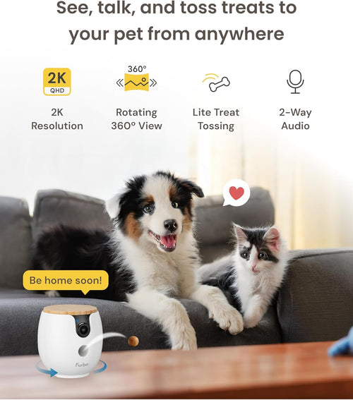 Mini 360° 2K QHD Pet Camera: Basic See, Talk & Toss Features, No AI Alerts, No Subscription Required, Dog & Cat Rotating Treat Dispenser W/Phone App, Smart Indoor Cam, 2-Way Audio & Night Vision - Best Pet Care Store