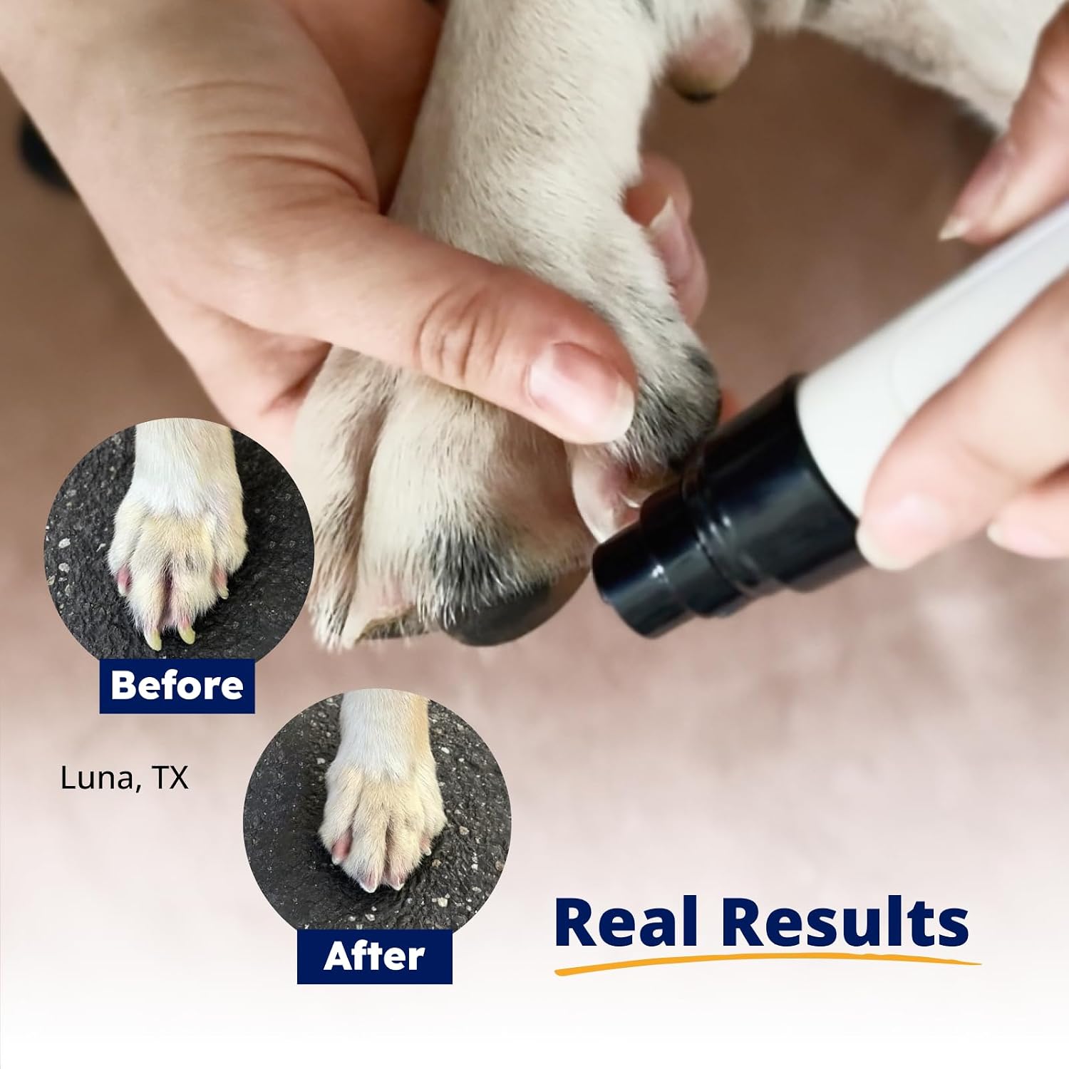 Silent Groom Pro Pet Nail Grinder | Whisper Quiet Claw Trimmer for Dogs, Cats and Other Animals | Safe & Stress Free Nail Grooming, Ideal for Sensitive Dogs of All Breeds & Sizes - Best Pet Care Store