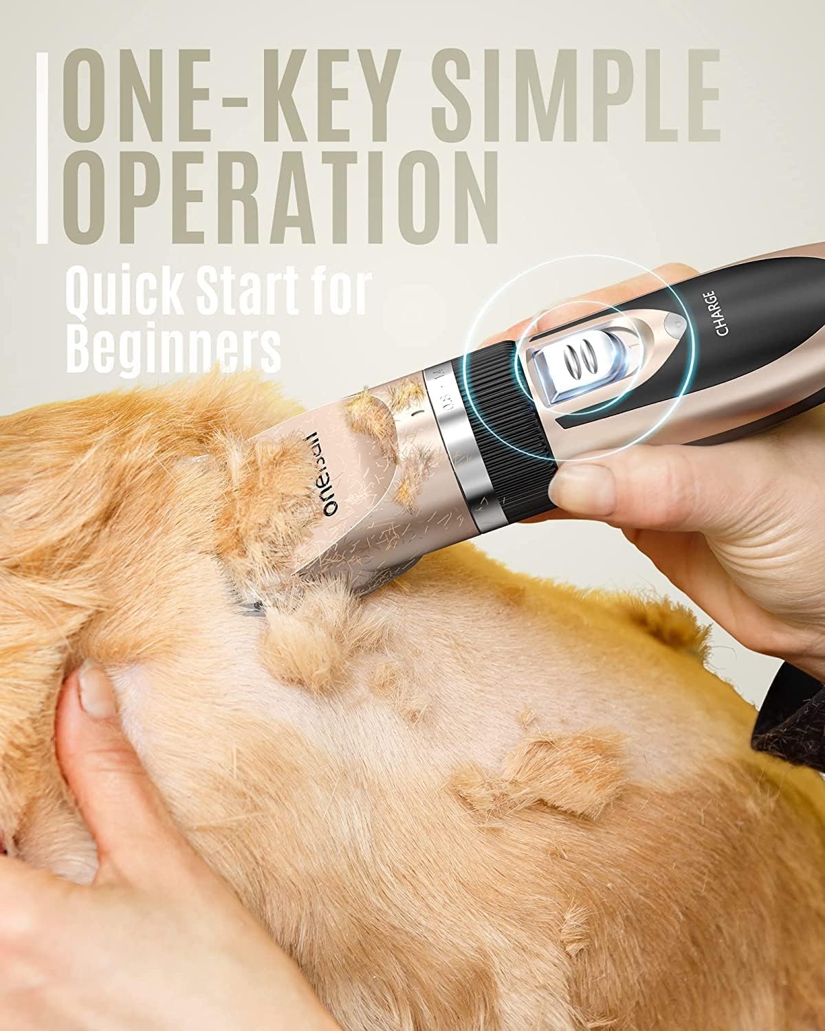 Cordless Dog Clippers & Grooming Kit – Low Noise, Rechargeable (Gold) - Best Pet Care Store