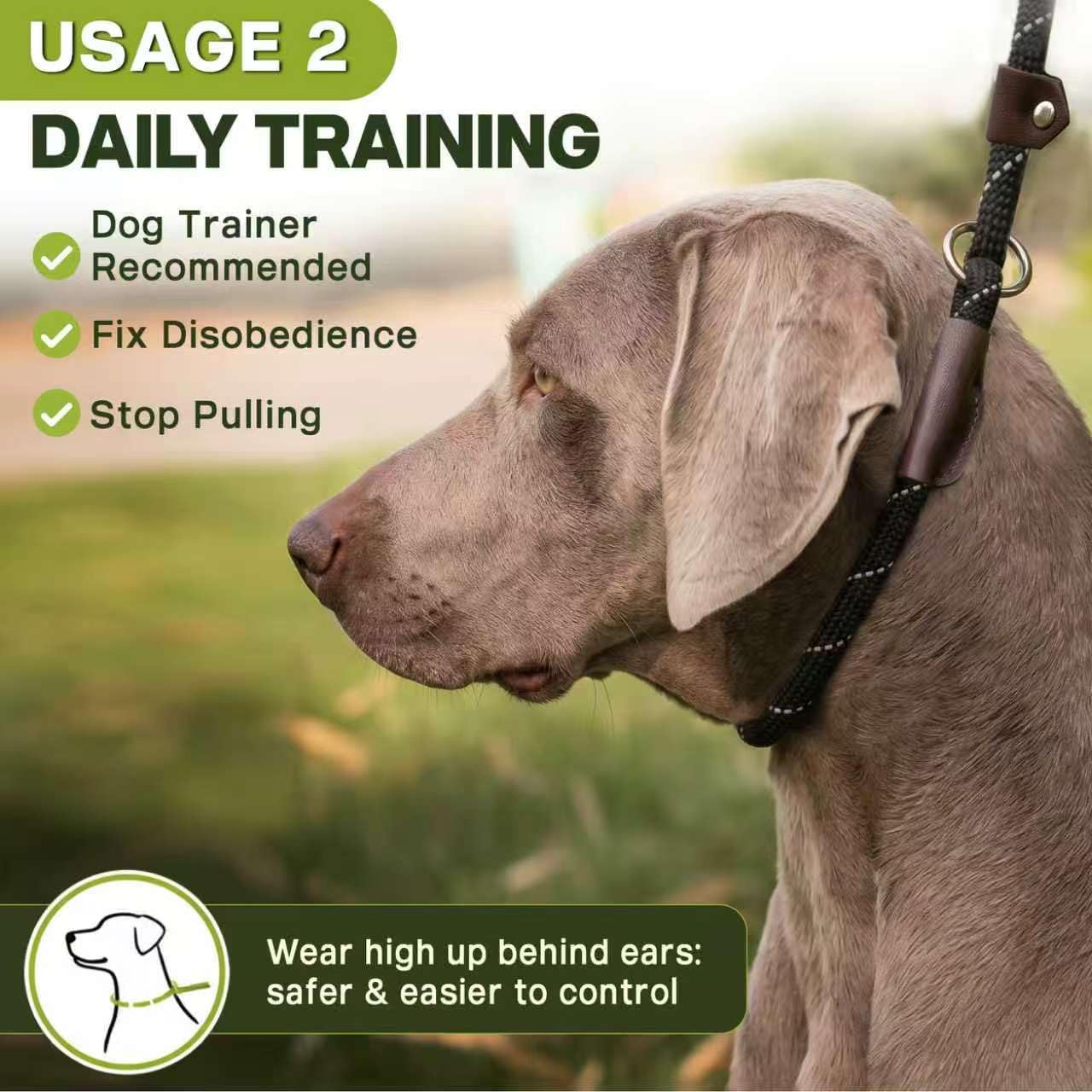 Heavy-Duty Slip Lead Dog Leash – 6Ft Reflective Rope Leash for Large & Medium Dogs, Black - Best Pet Care Store