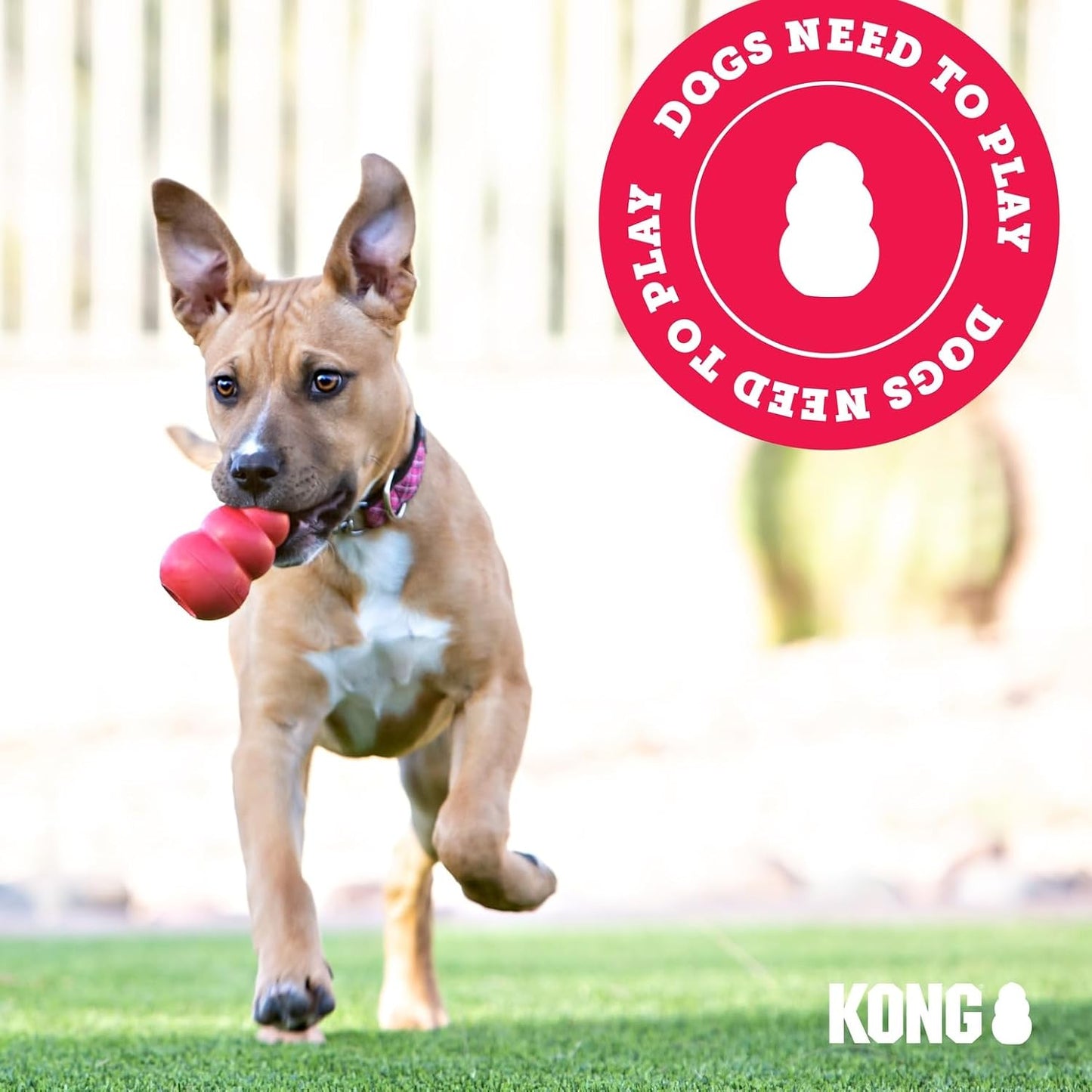 Ring - Natural Rubber Ring Toy for Healthy Chewing Habits - Chew Toy Supports Dog Dental Health - Dog Toy Supports Instincts during Playtime - for Medium/Large Dogs - Best Pet Care Store
