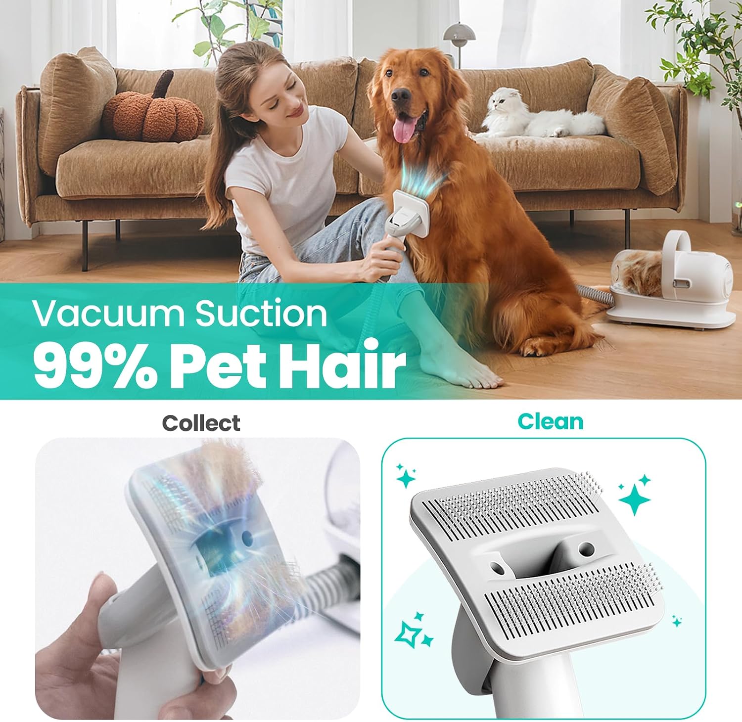 P1 Pro Pet Grooming Vacuum Suction 99% Pet Hair, Dog Grooming Kit with 5 Professional Grooming Shedding Tools for Dogs Cats and Other Animals - Best Pet Care Store
