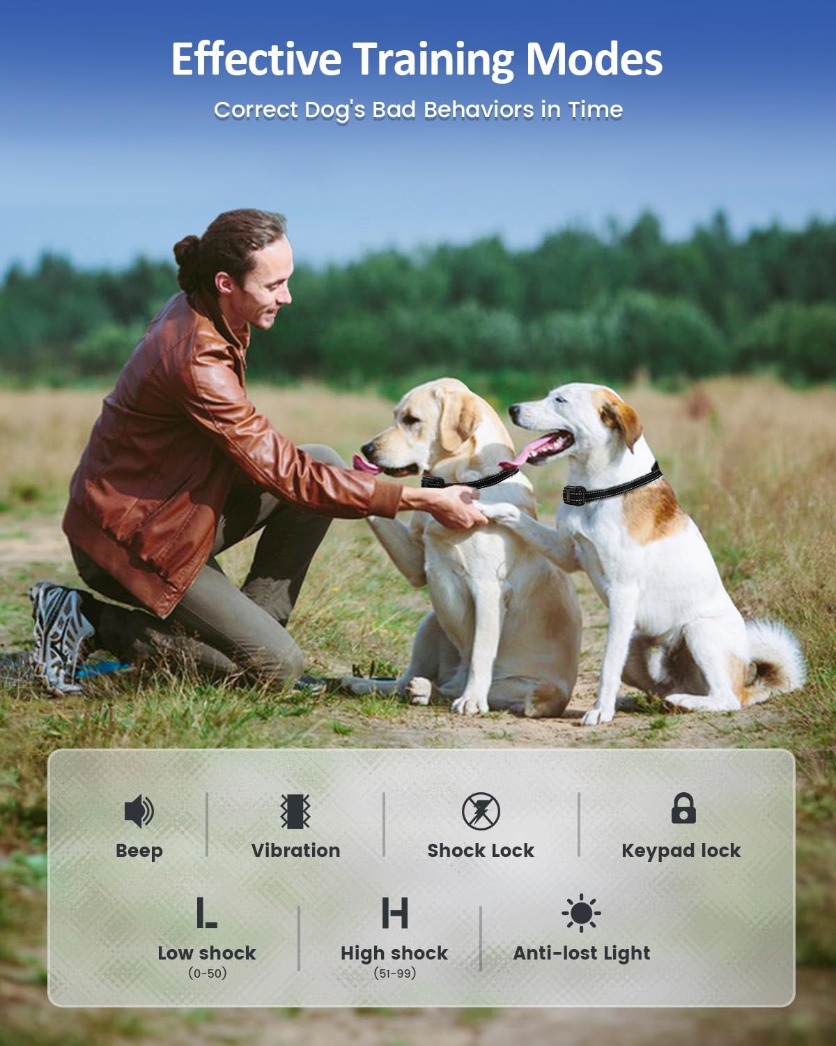 Dog Training Collar with Remote – 4200Ft Range, Shock, Vibration & Beep, All Sizes - Best Pet Care Store