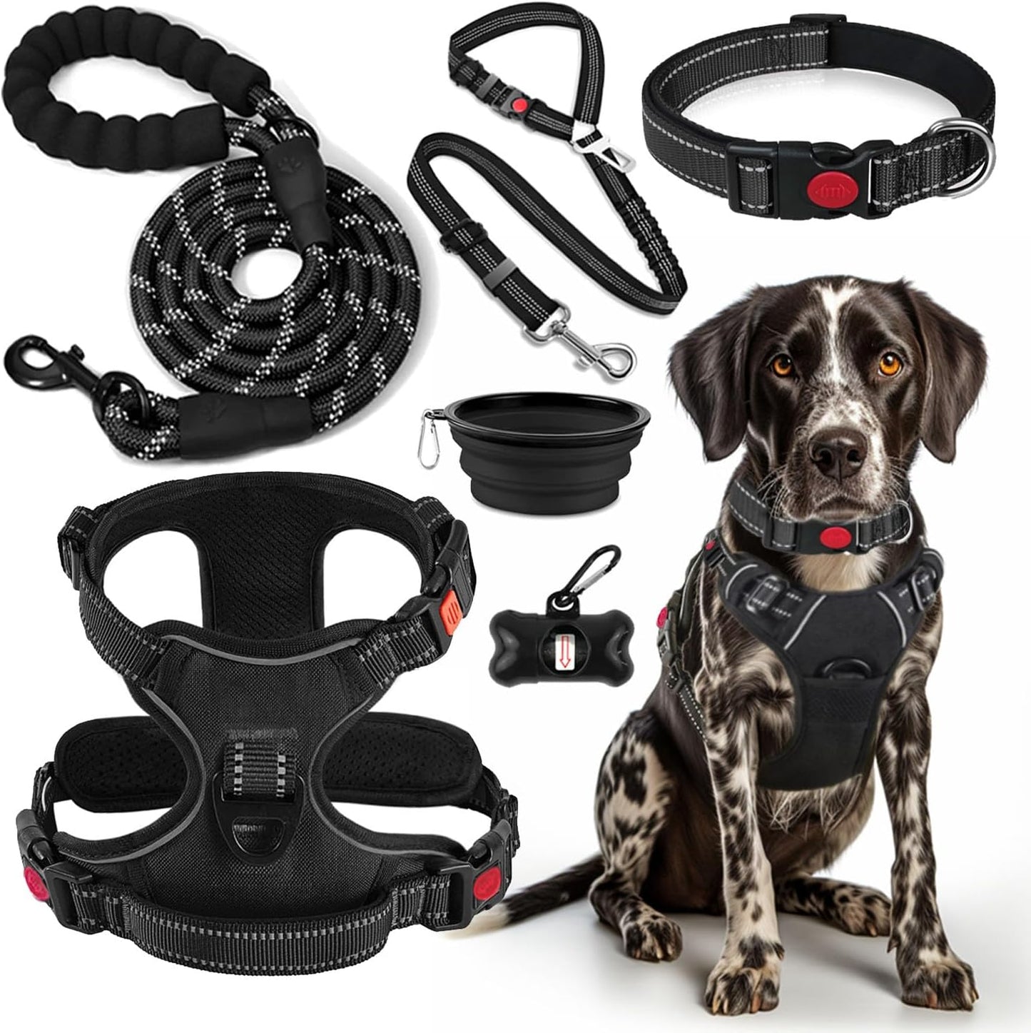 No-Pull Dog Harness, Collar & Leash Set – Includes Seat Belt, Collapsible Bowl & Poop Bag Dispenser, S–L - Best Pet Care Store