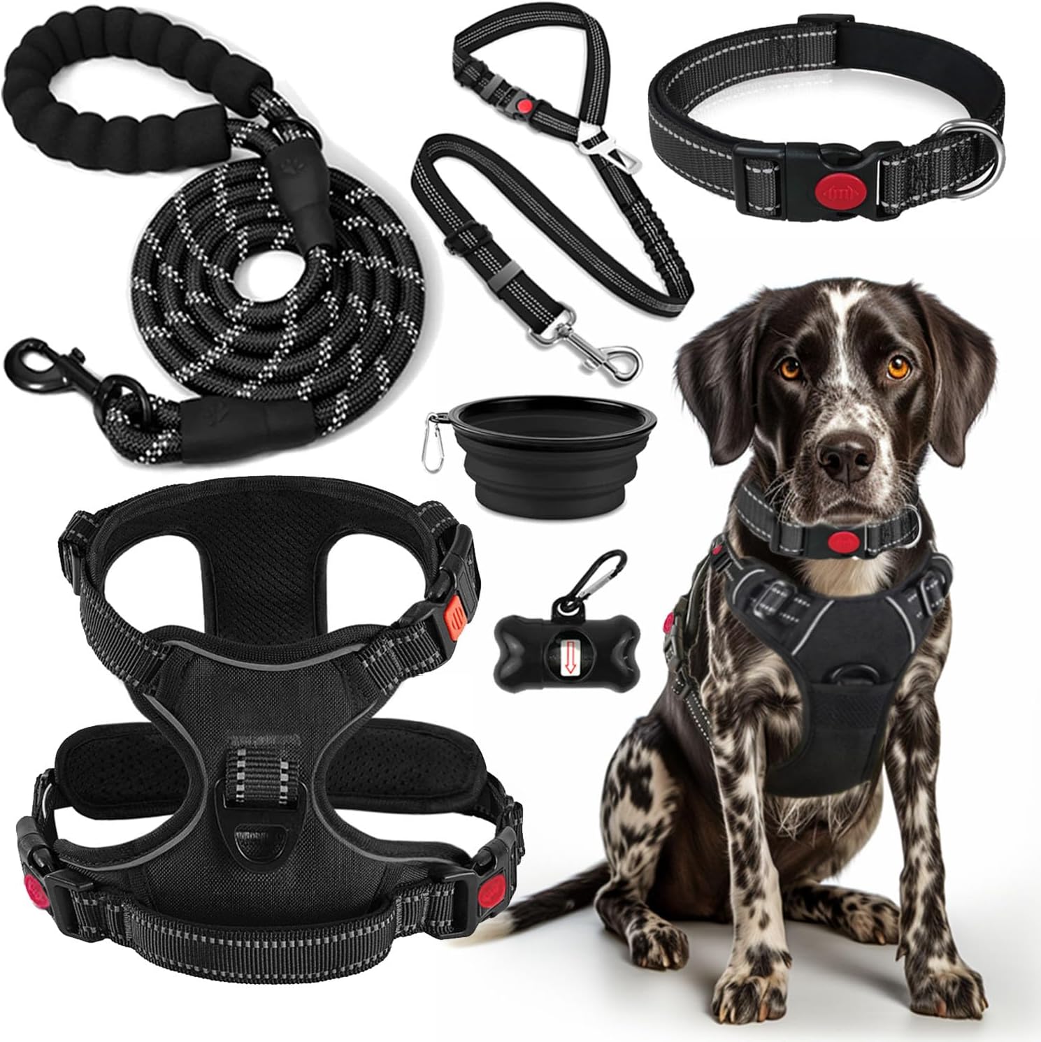 No-Pull Dog Harness, Collar & Leash Set – Includes Seat Belt, Collapsible Bowl & Poop Bag Dispenser, S–L - Best Pet Care Store