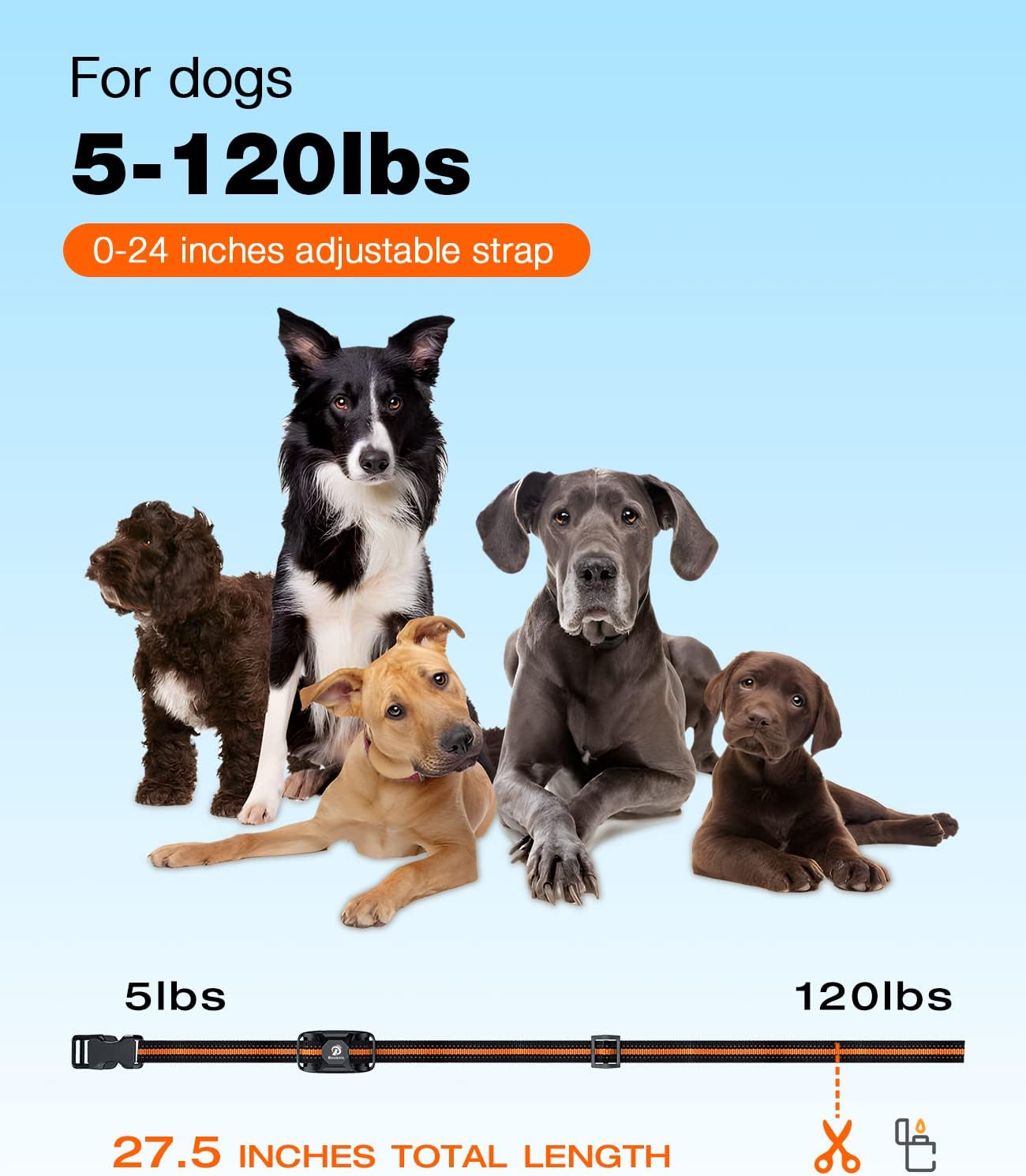 Dog Training Shock Collar with Remote – 3300Ft Range, Beep, Vibration & Shock, All Sizes - Best Pet Care Store