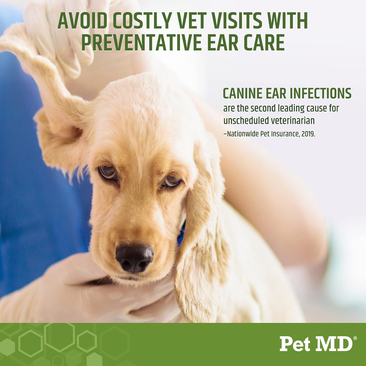 Dog Ear Cleaning Wipes – Vet-Formulated with Aloe Vera & Eucalyptus, 100ct - Best Pet Care Store