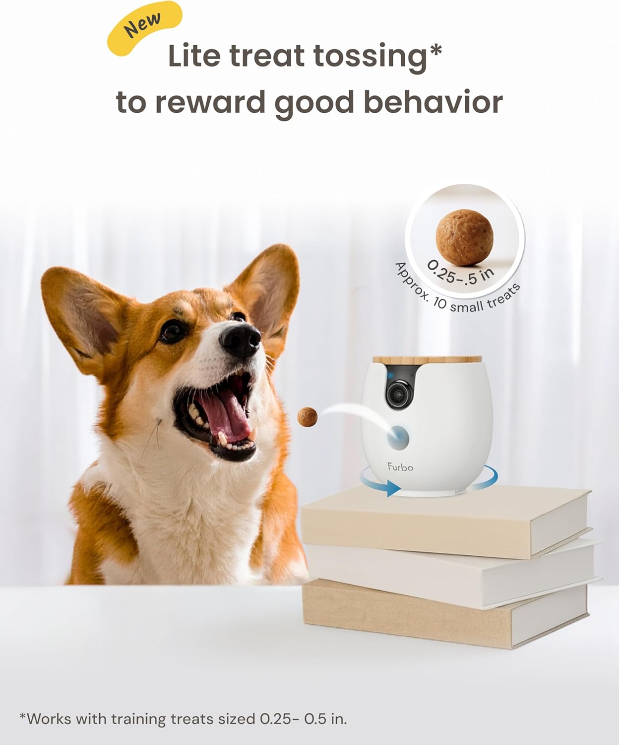 Mini 360° 2K QHD Pet Camera: Basic See, Talk & Toss Features, No AI Alerts, No Subscription Required, Dog & Cat Rotating Treat Dispenser W/Phone App, Smart Indoor Cam, 2-Way Audio & Night Vision - Best Pet Care Store