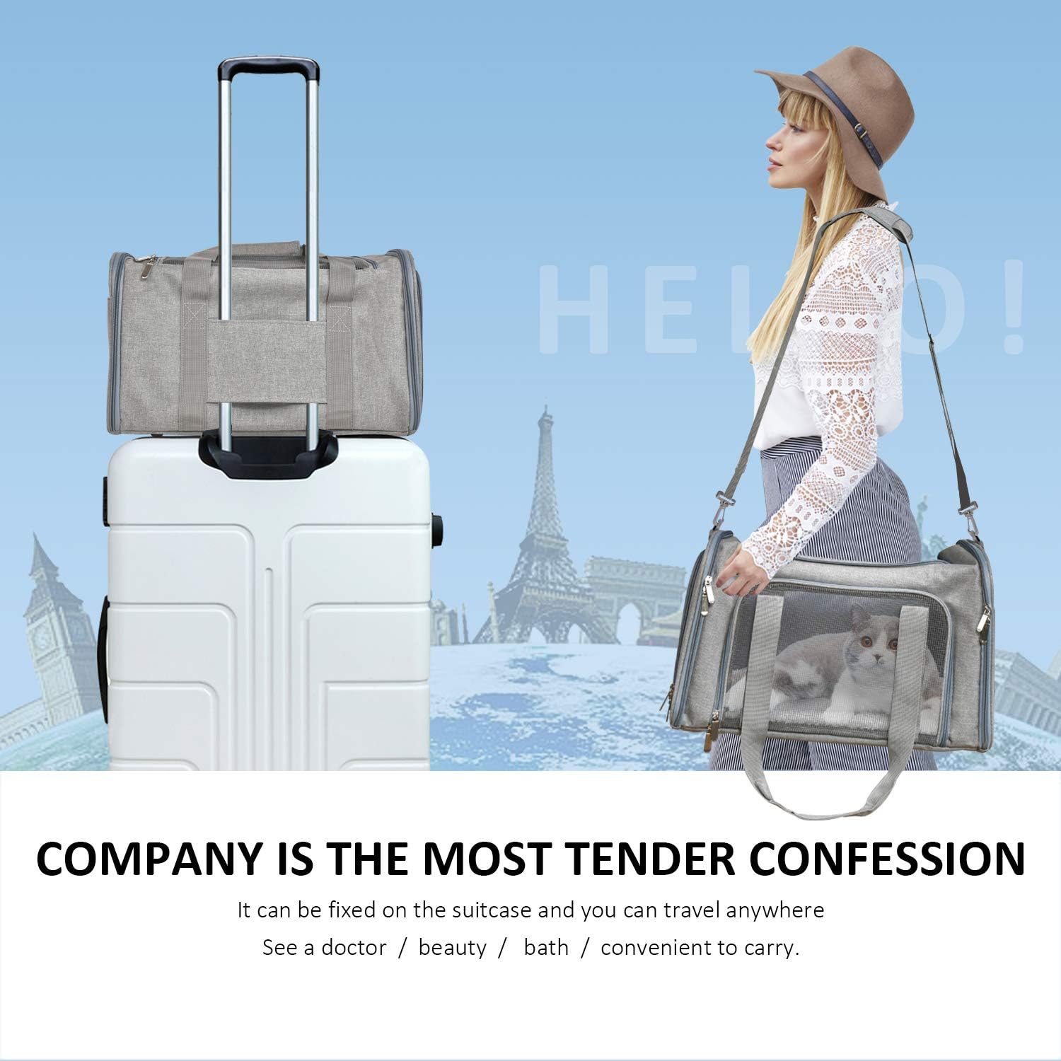 Cat Carriers Dog Carrier Pet Carrier for Small / Medium Cats Dogs Puppies (Up to 15Lbs), TSA Airline Approved Small Dog Carrier Soft Sided, Collapsible Waterproof Travel Puppy Carrier - Grey - Best Pet Care Store