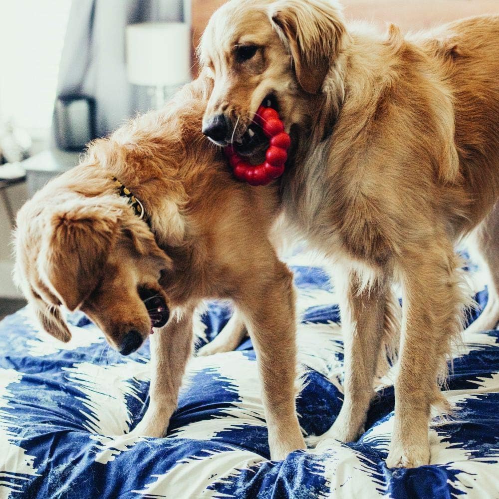 Ring - Natural Rubber Ring Toy for Healthy Chewing Habits - Chew Toy Supports Dog Dental Health - Dog Toy Supports Instincts during Playtime - for Medium/Large Dogs - Best Pet Care Store