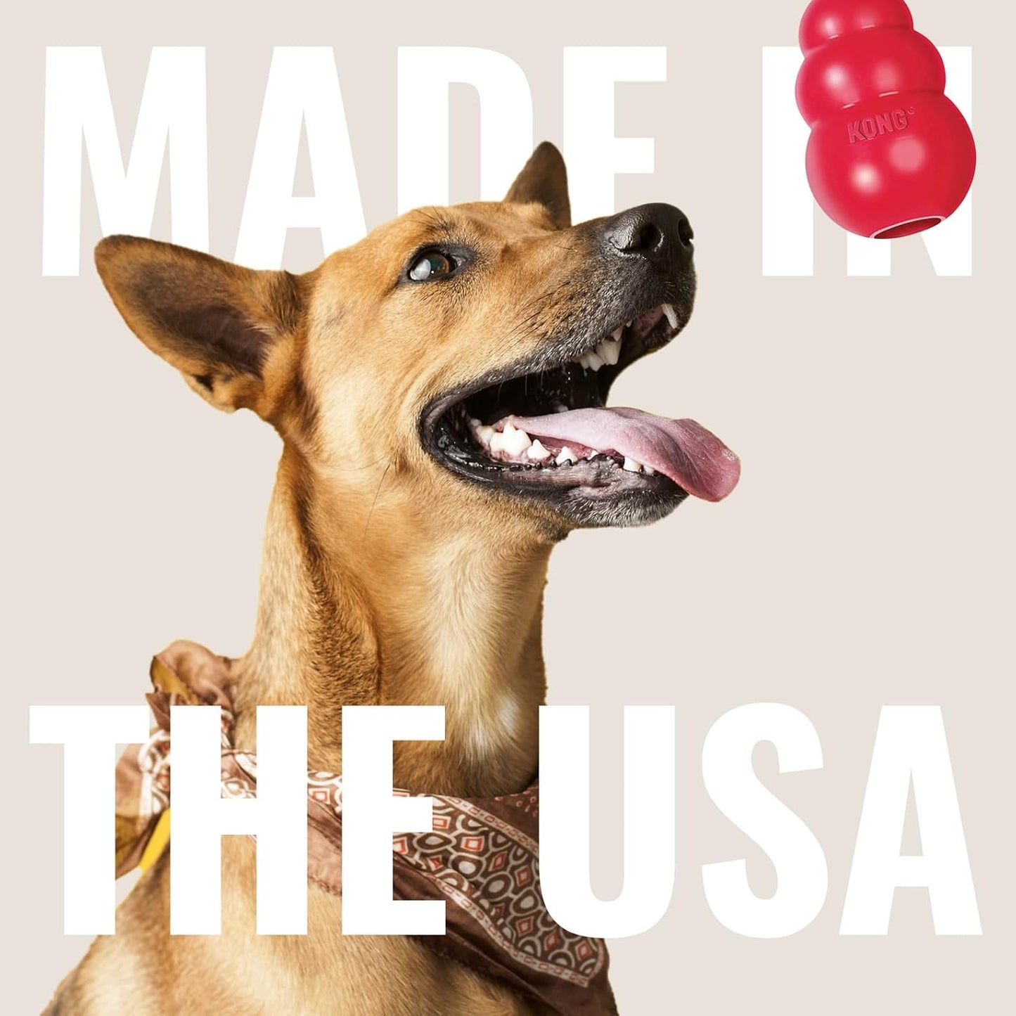 Ring - Natural Rubber Ring Toy for Healthy Chewing Habits - Chew Toy Supports Dog Dental Health - Dog Toy Supports Instincts during Playtime - for Medium/Large Dogs - Best Pet Care Store