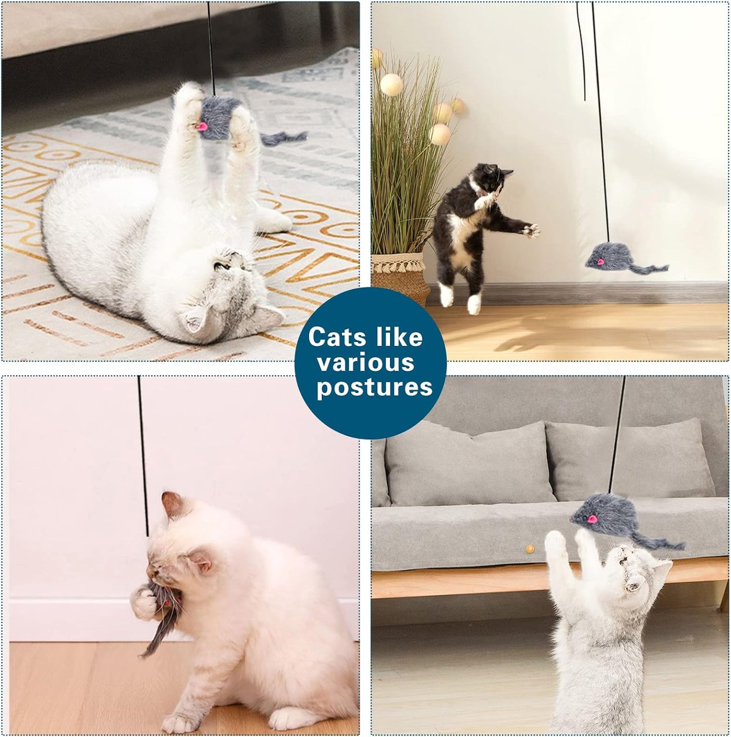 Retractable Hanging Cat Feather Teaser Toy for Indoor Cats - Best Pet Care Store