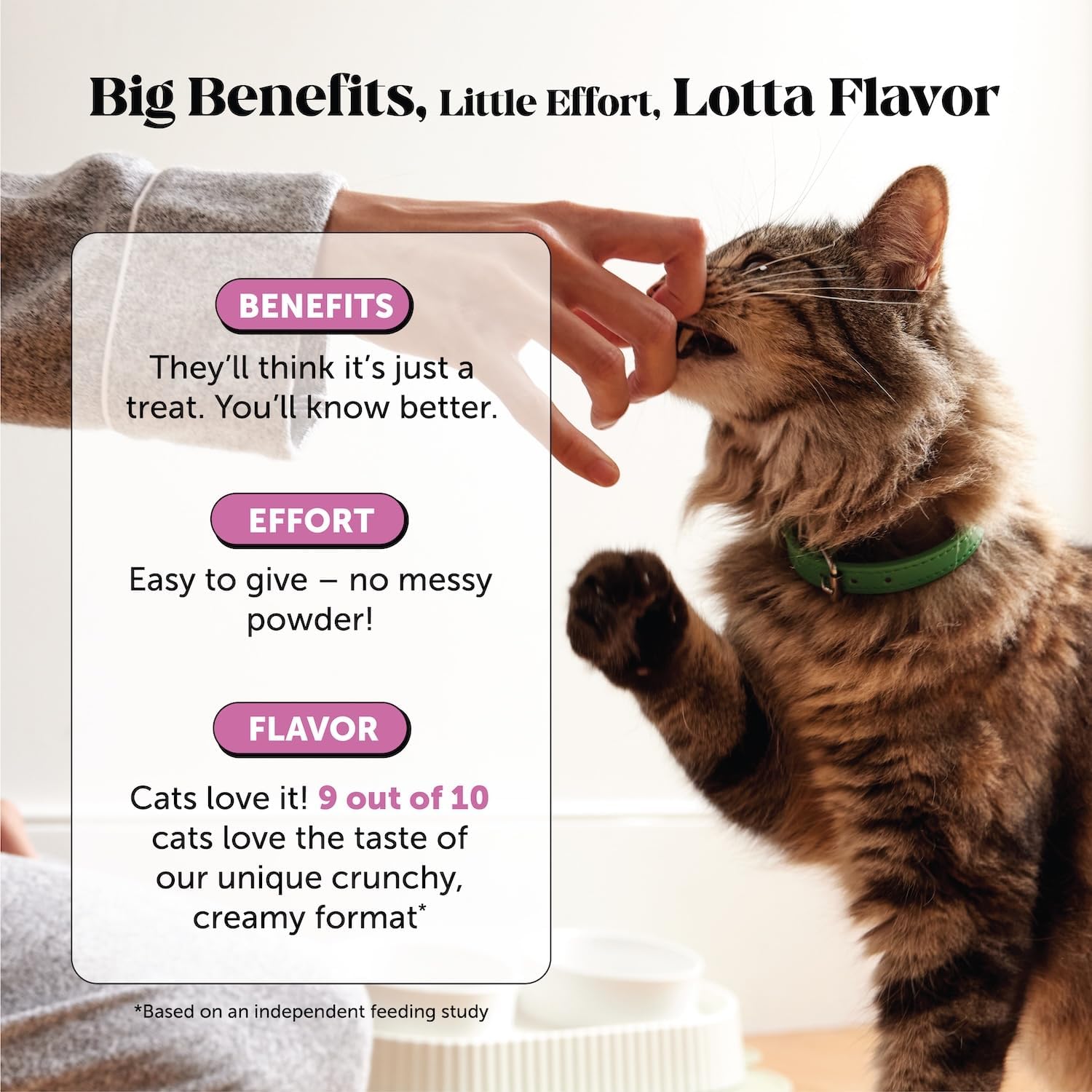 Cat Multivitamin Crunchy Creamy Chews - Daily Cat Vitamins with Lysine, Prebiotics, Omega 3 Fish Oil - Cat Treats for Immune Support, Skin Coat, Digestion, Heart + Joint Health (30-Day Supply) - Best Pet Care Store