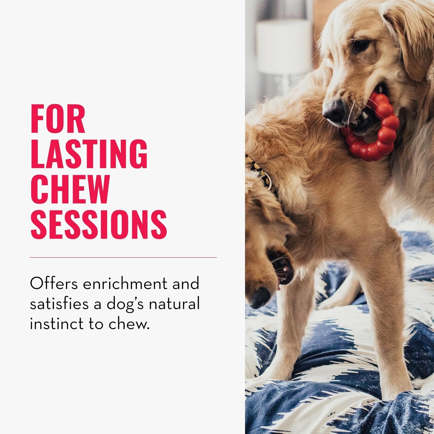 Ring - Natural Rubber Ring Toy for Healthy Chewing Habits - Chew Toy Supports Dog Dental Health - Dog Toy Supports Instincts during Playtime - for Medium/Large Dogs - Best Pet Care Store