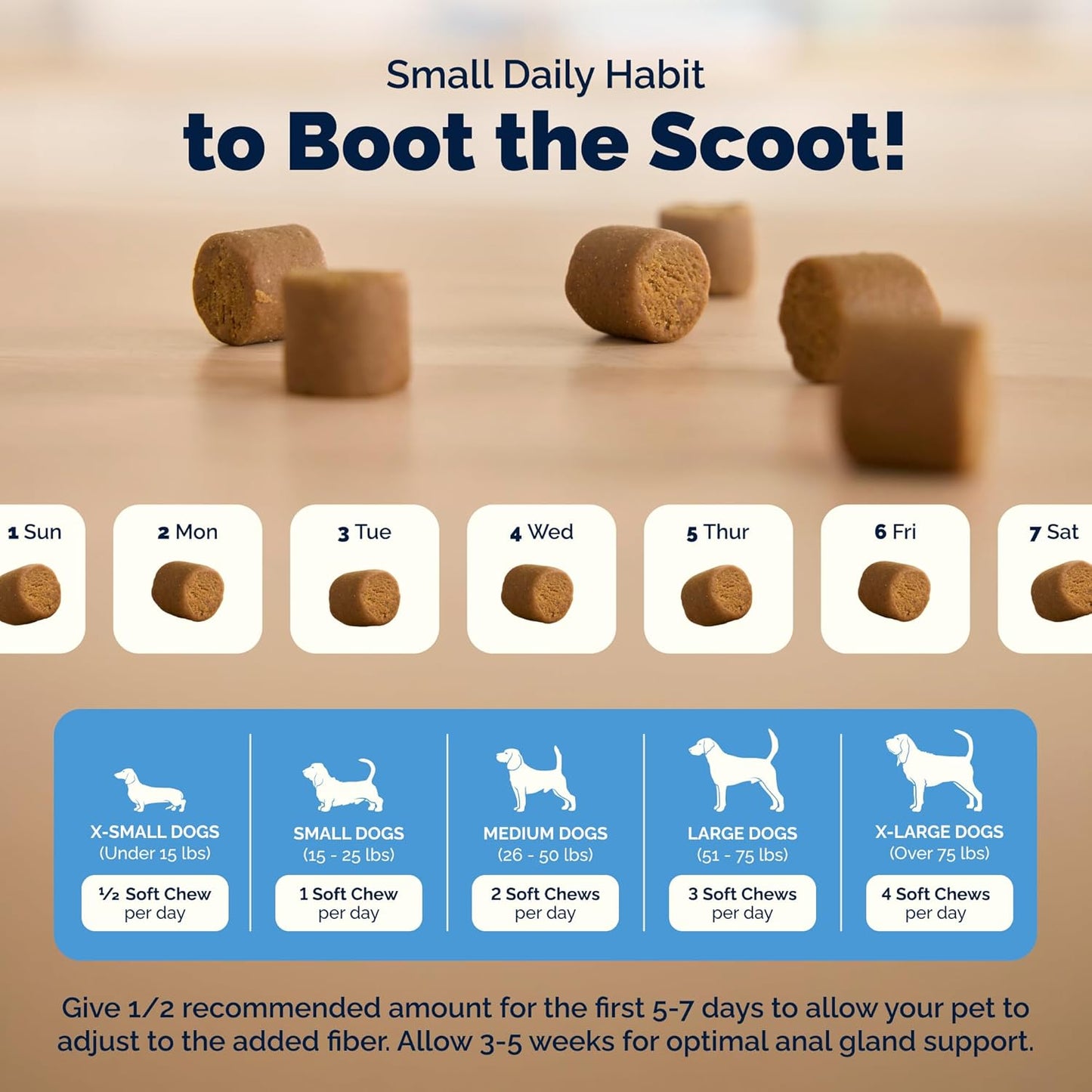 Glandex Anal Gland Soft Chew Treats with Pumpkin for Dogs Digestive Enzymes, Probiotics Fiber Supplement for Dogs Boot the Scoot (Peanut Butter Chews, 60 Count) - Best Pet Care Store