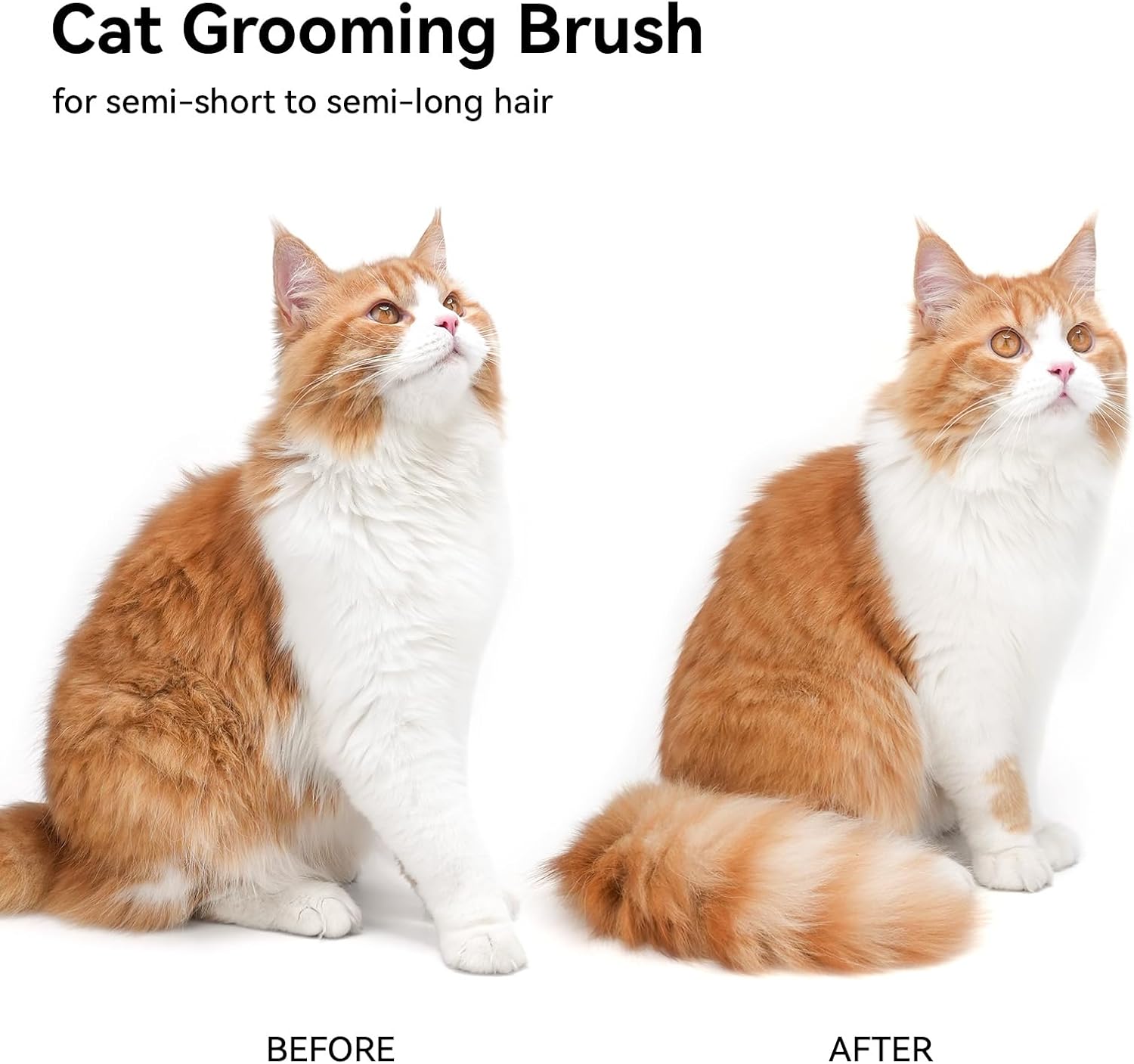 Cat Grooming Brush for Shedding – Deshedding Comb for Long & Short Hair Cats, Kittens & Rabbits - Best Pet Care Store