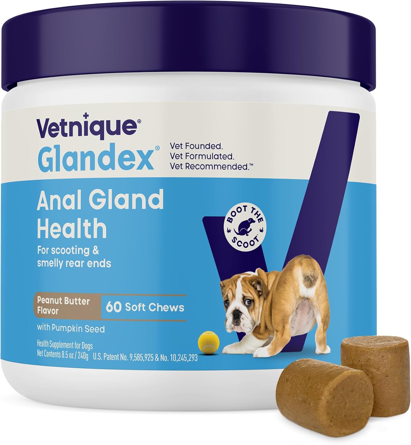 Glandex Anal Gland Soft Chew Treats with Pumpkin for Dogs Digestive Enzymes, Probiotics Fiber Supplement for Dogs Boot the Scoot (Peanut Butter Chews, 60 Count) - Best Pet Care Store