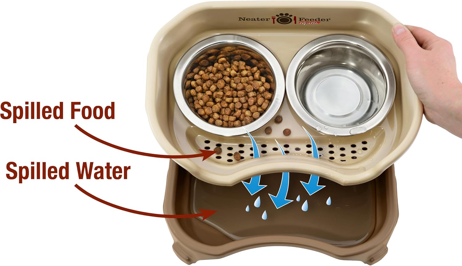 Express Mess Proof Dog Bowls Elevated for Small Breeds under 15 Lb, Made in USA, No Spill Raised Dog Food Bowl Stand, Stainless Steel Food and Water Bowl Set, Feeding Station, Cappuccino - Best Pet Care Store