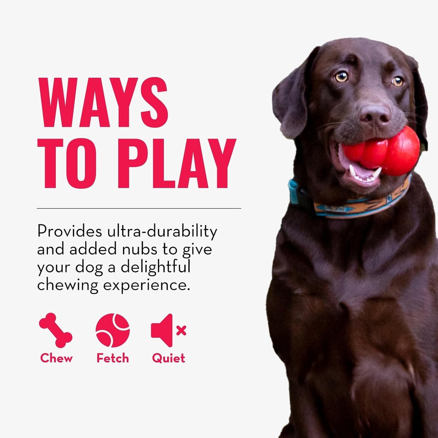 Ring - Natural Rubber Ring Toy for Healthy Chewing Habits - Chew Toy Supports Dog Dental Health - Dog Toy Supports Instincts during Playtime - for Medium/Large Dogs - Best Pet Care Store