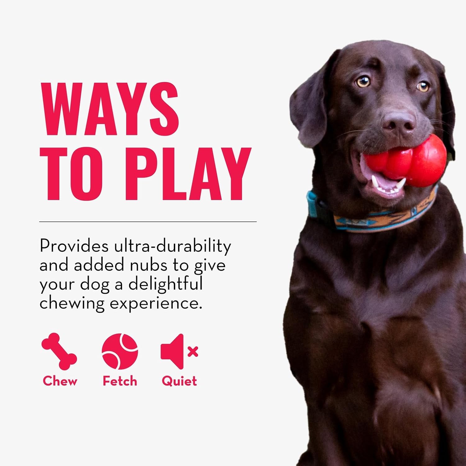 Ring - Natural Rubber Ring Toy for Healthy Chewing Habits - Chew Toy Supports Dog Dental Health - Dog Toy Supports Instincts during Playtime - for Medium/Large Dogs - Best Pet Care Store
