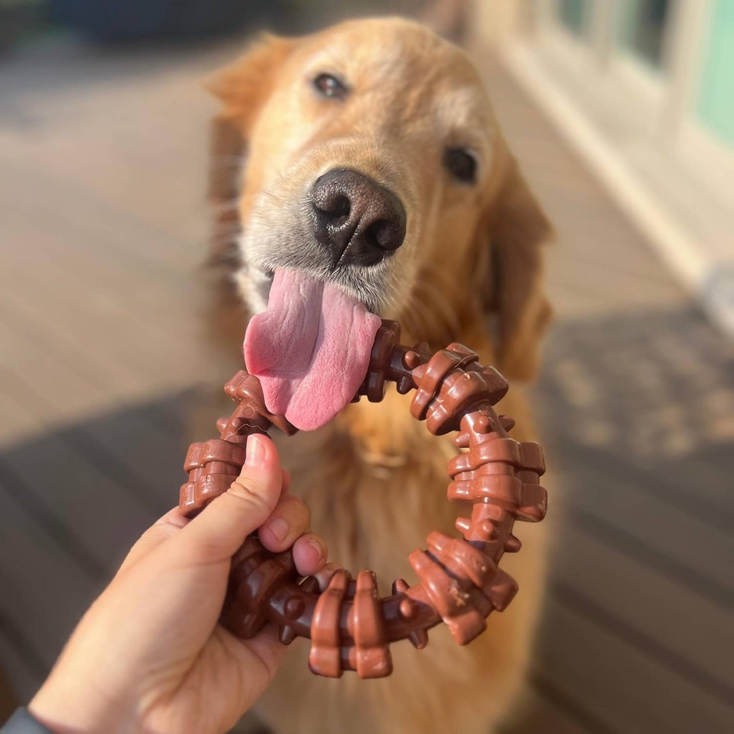 Textured Ring Power Chew Toy for Large Dogs, Durable Dog Toys for Aggressive Chewers, Strong Dog Chew Bones to Keep Them Busy, Flavor Medley, X-Large - 50+ Lbs, 1 Count - Best Pet Care Store