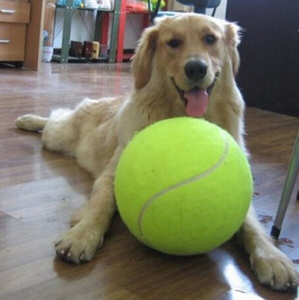 Durable Rubber Dog Chew Tennis Ball for Pets