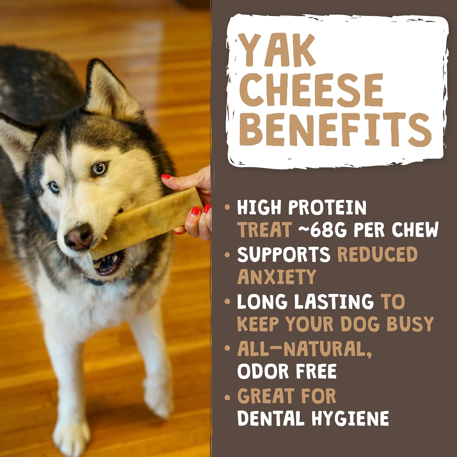 Yak Cheese Dog Chews – All-Natural Long Lasting Hard Chew for Aggressive Chewers – High Protein, Odor-Free Dog Treat – 3 Ingredient Natural Yak Chews for Large Dogs – (4 Pack) - Best Pet Care Store