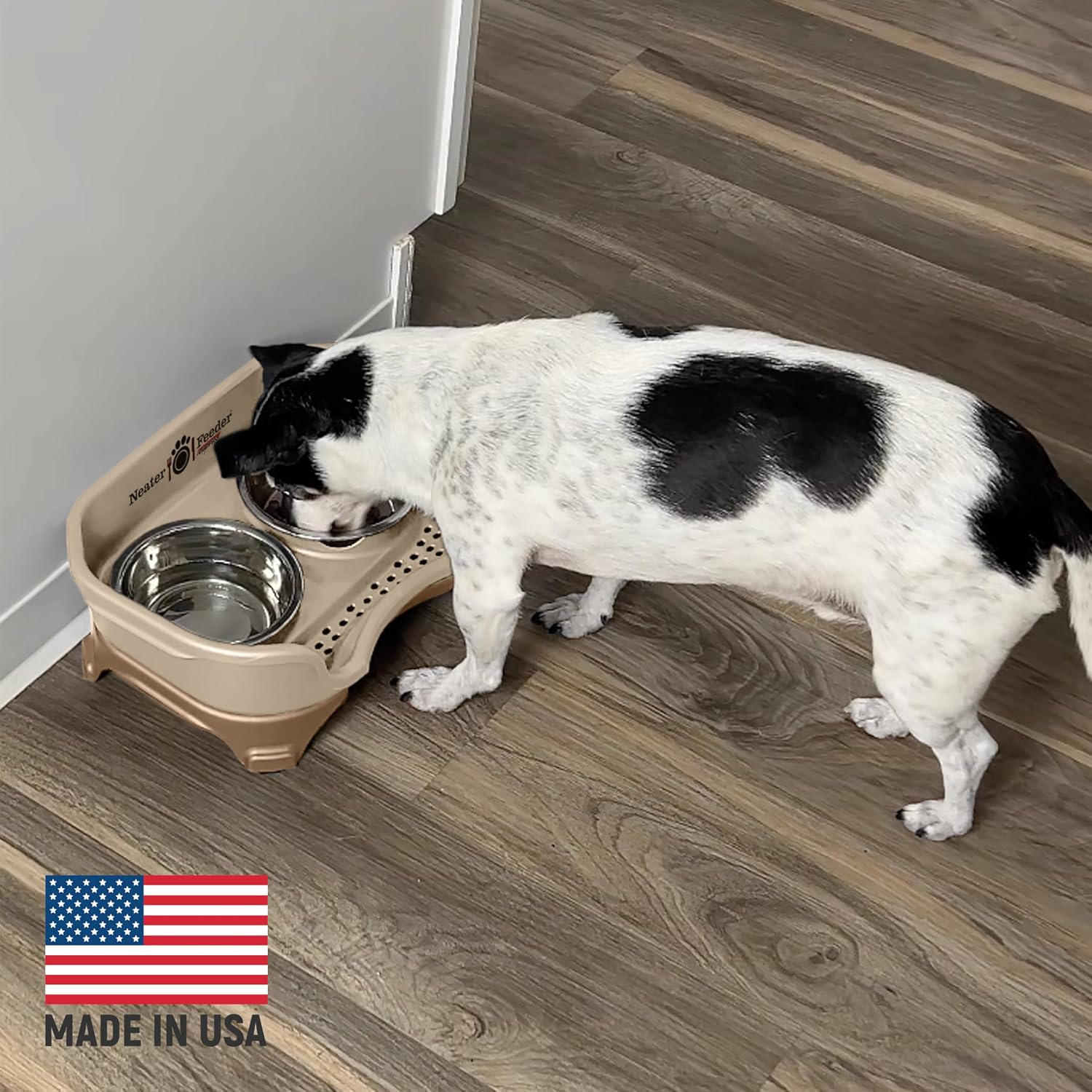 Express Mess Proof Dog Bowls Elevated for Small Breeds under 15 Lb, Made in USA, No Spill Raised Dog Food Bowl Stand, Stainless Steel Food and Water Bowl Set, Feeding Station, Cappuccino - Best Pet Care Store