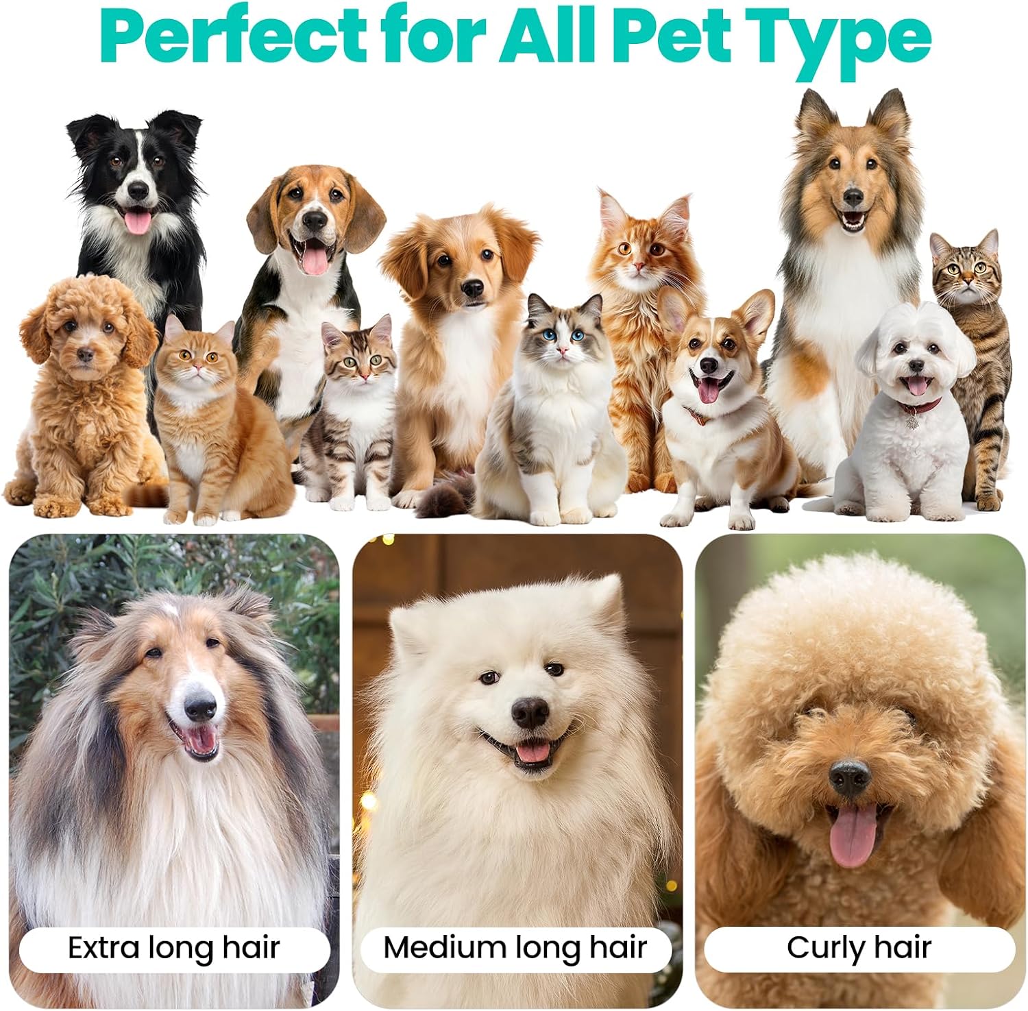 P1 Pro Pet Grooming Vacuum Suction 99% Pet Hair, Dog Grooming Kit with 5 Professional Grooming Shedding Tools for Dogs Cats and Other Animals - Best Pet Care Store
