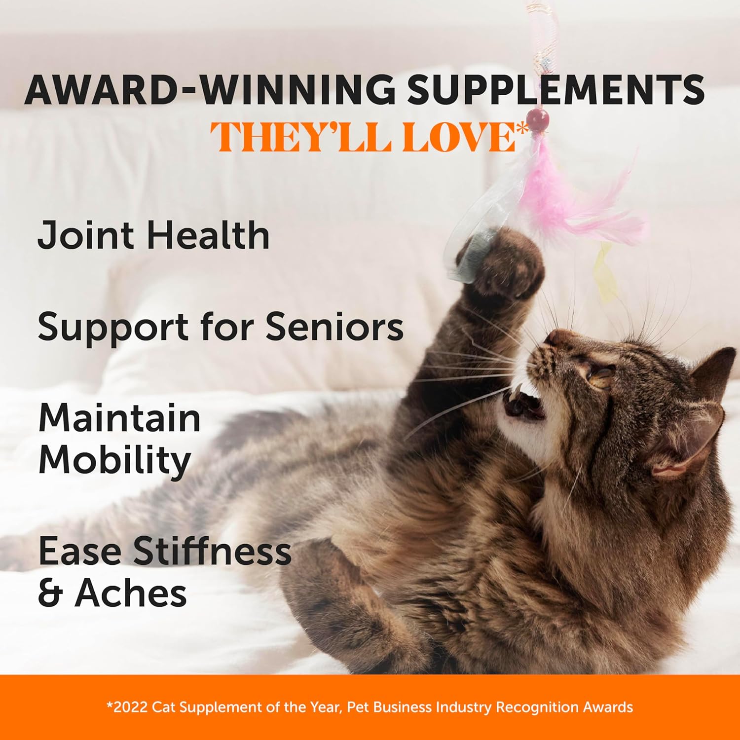 Senior Cat Joint Supplement Crunchy Creamy Hip + Joint for Cats - Ease Mobility Stiffness with Glucosamine Chondroitin, Green Lipped Mussel, Flexibility + Joint Support Chews (30-Day Supply) - Best Pet Care Store