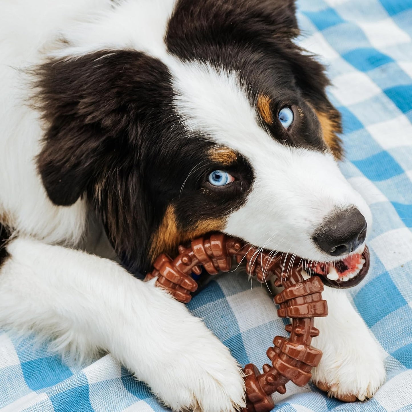 Textured Ring Power Chew Toy for Large Dogs, Durable Dog Toys for Aggressive Chewers, Strong Dog Chew Bones to Keep Them Busy, Flavor Medley, X-Large - 50+ Lbs, 1 Count - Best Pet Care Store