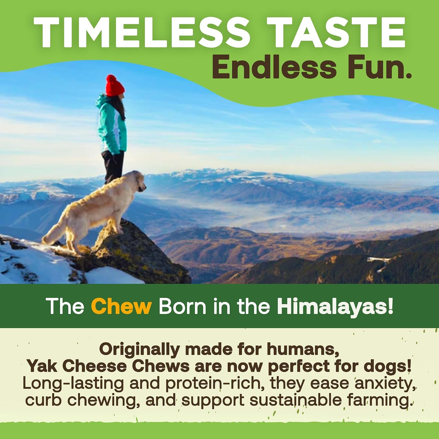 Ecokind Yak Cheese Himalayan Dog Chews, Yak Chews for Large Dogs, Long Lasting Bone for Aggressive Chewers, 3 Ingredient Natural High Protein Dog Treat, No Additives or Lactose, Large - 4 Chews (1 Lb) - Best Pet Care Store