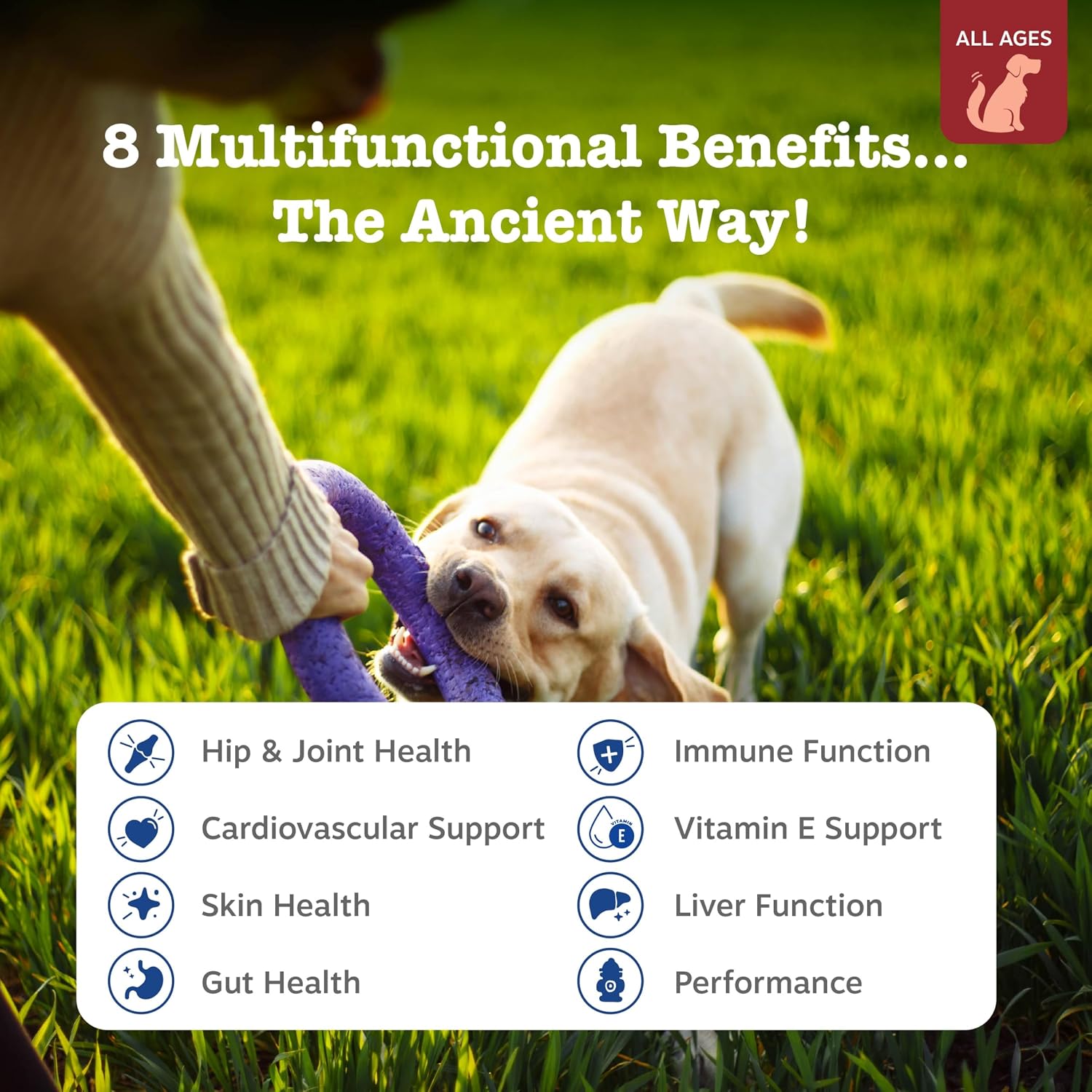 Zesty Paws Dog Multivitamin Chews – Hip, Joint, Skin & Coat with Omega 3, Bison, 90ct - Best Pet Care Store