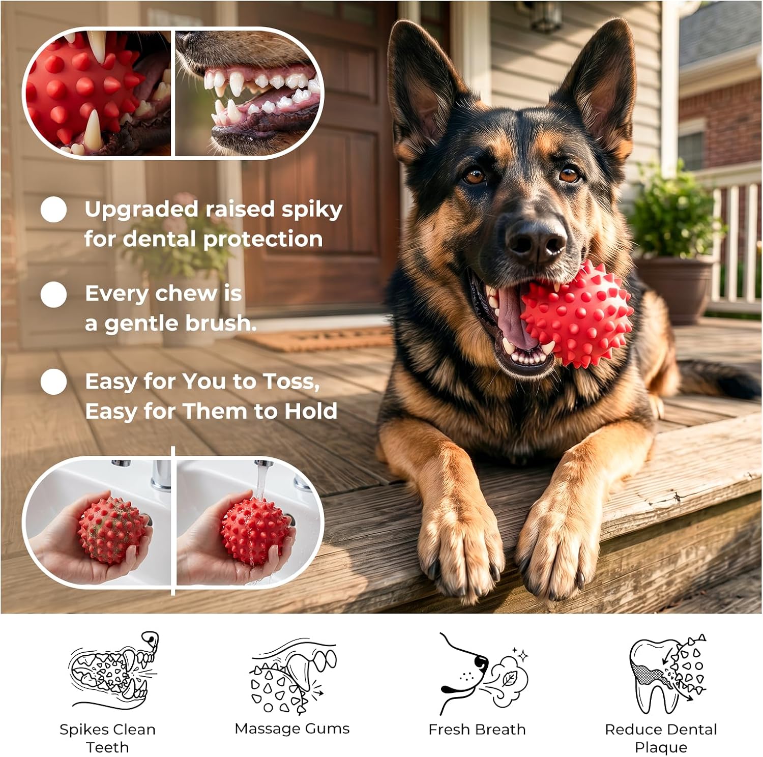 Beef-Flavored Durable Dog Ball for Aggressive Chewers, Tough Squeaky Rubber Toy for Pitbulls Large & Medium Breeds - Best Pet Care Store