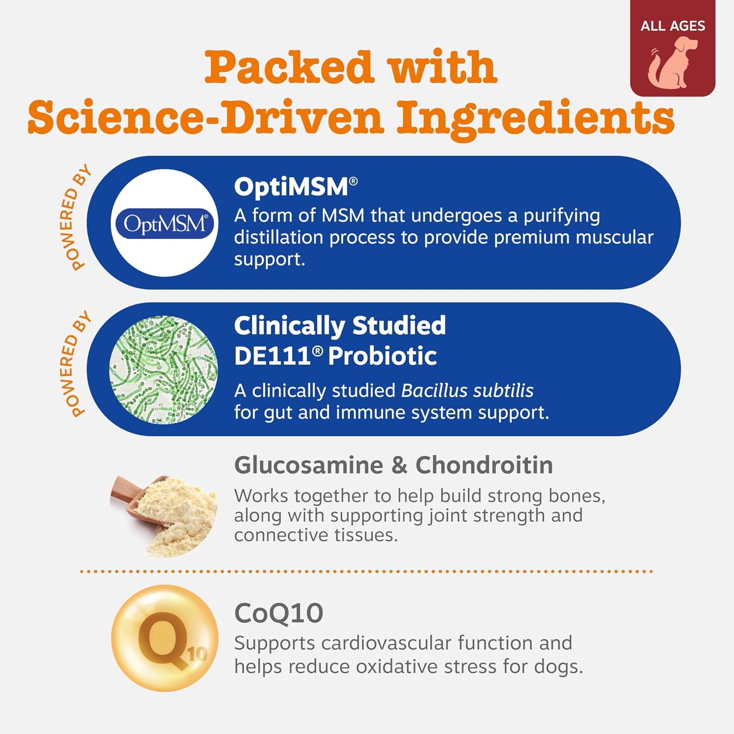 Zesty Paws Dog Multivitamin Chews – Hip, Joint, Skin & Coat with Omega 3, Bison, 90ct - Best Pet Care Store
