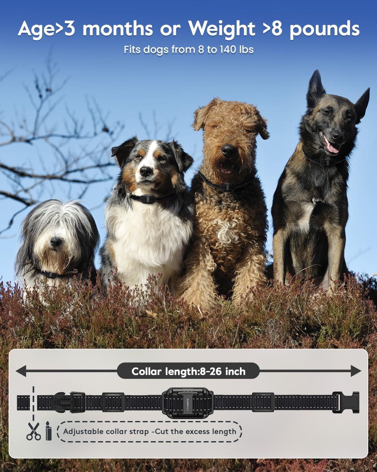 Dog Training Collar with Remote – 4200Ft Range, Shock, Vibration & Beep, All Sizes - Best Pet Care Store
