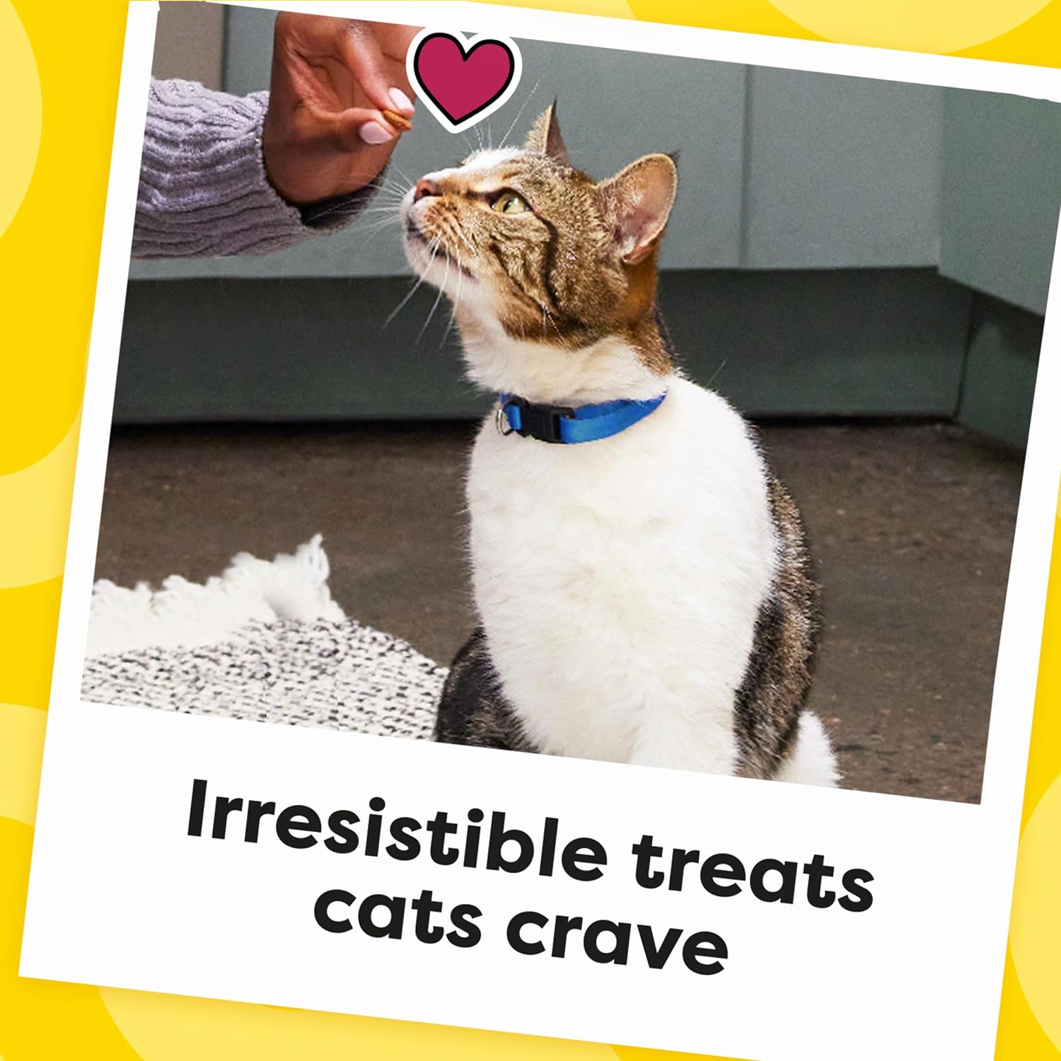Temptations Classic Cat Treats – Crunchy & Soft Chicken Flavor, 30oz Stay-Fresh Tub - Best Pet Care Store