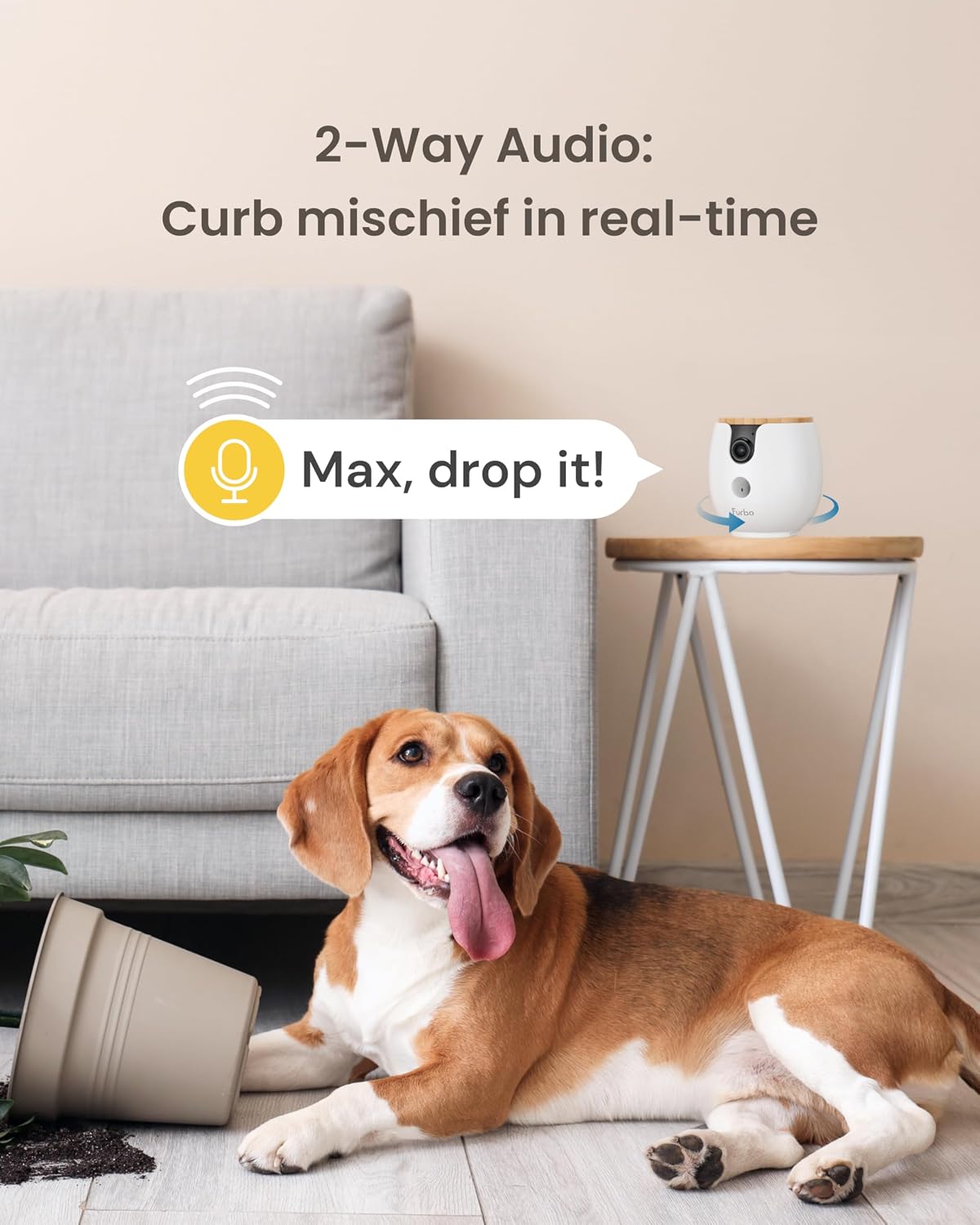 Mini 360° 2K QHD Pet Camera: Basic See, Talk & Toss Features, No AI Alerts, No Subscription Required, Dog & Cat Rotating Treat Dispenser W/Phone App, Smart Indoor Cam, 2-Way Audio & Night Vision - Best Pet Care Store