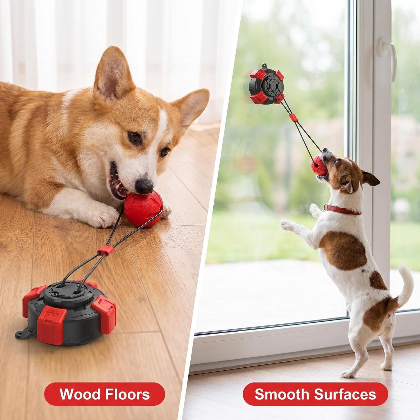 Dog Toys Upgraded Suction Cup Tug Dog Ball, Chew & Puppy Teethingtoy Ball, Indoor & Outdoor Interactive Chew Toy for Aggressive Chewers - Best Pet Care Store