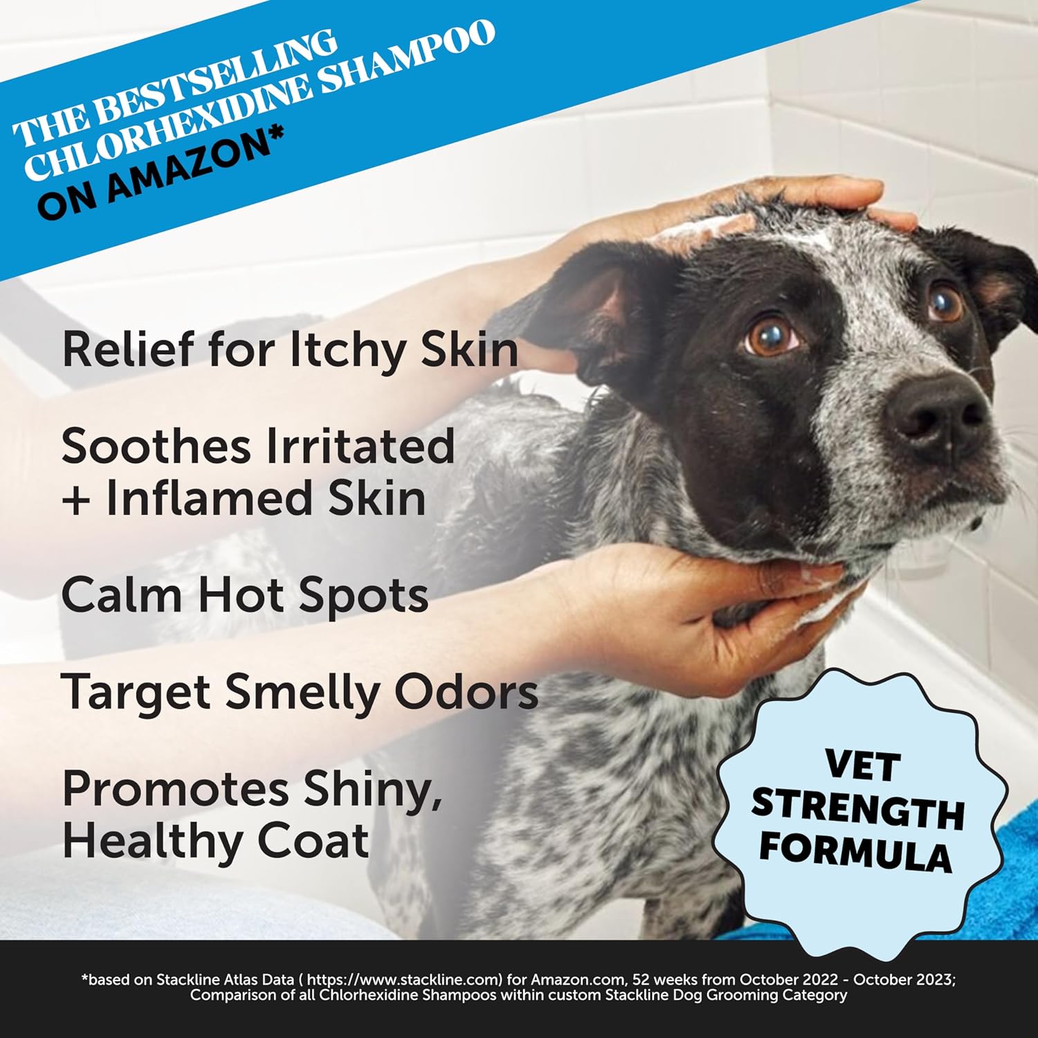Chlorhexidine Cat & Dog Seasonal Itch Relief Shampoo, for Allergies, Itching, Skin and Coat Supplement, Helps Shedding, Hot Spots, Deodorizing Dog Shampoo & Grooming Supplies,16Oz - Best Pet Care Store